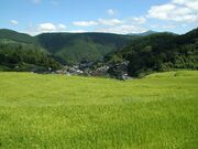 �����I�c�̎ʐ^2