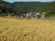 �����I�c�̎ʐ^3