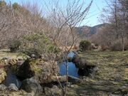 �R�z��̂Ђ�X�ь����̎ʐ^3