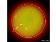 �~���̗��V����u�V���فv�̎ʐ^3