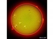 �~���̗��V����u�V���فv�̎ʐ^3