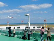 �啪��`�̎ʐ^2