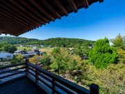 �\�� �������E���[���񂪂���̎ʐ^4