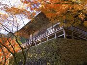 �V��@�ʊi�{�R ���q���̎ʐ^2