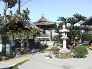 ������̎ʐ^3