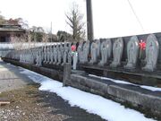 �ϐ����̎ʐ^3