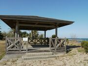 ���c���_�C������E�L�����v��̎ʐ^2