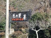 �M�������[���̗��@�؂̎ʐ^2