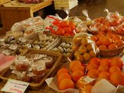 �啪�̋� �ނ����̎ʐ^2