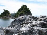 ���������P���W�I�p�[�N�̎ʐ^3