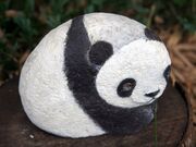 �΂��낽���̓������̎ʐ^2