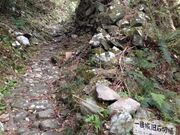 �U�r�G���̓��̎ʐ^2