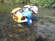 ��d�ӂ邳�Ǝ��R�w�Z�̎ʐ^3