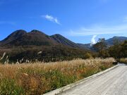 �^�f�������̎ʐ^3