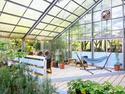 �����イ��̉Ԃ̋��̎ʐ^3