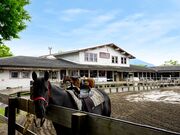 �G���E�����`���E�O�����f�̎ʐ^3