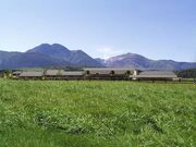 ��d��܂Ȃݖq��̎ʐ^1