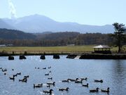 ��d��܂Ȃݖq��̎ʐ^3