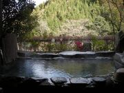 �Ƒ����C�@�����̎ʐ^3