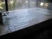 �����މ���@�T�R�̓��̎ʐ^2