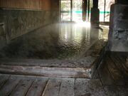 �����炬�̓��̎ʐ^2