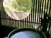 �㐌�k����̎ʐ^2