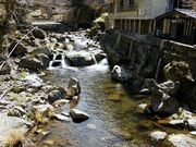 ��ꉷ��̎ʐ^2