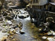 ��ꉷ��̎ʐ^2