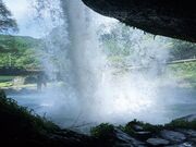 �����̑�̎ʐ^2