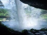 �����̑�̎ʐ^2