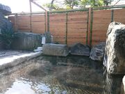 ����s���� ���N�̓��̎ʐ^3