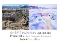 ���������̂Ȃ����́|�n���E���i�E�� Irreplaceable �|Earth�CLandscape�CEnvironment�̎ʐ^1