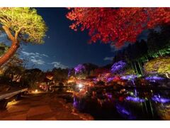 �A�L�E���~�i�|AKIU LUMINA�|2024�̎ʐ^1