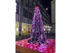 �Ȃ������E�C���^�[�p�[�N�̎ʐ^1