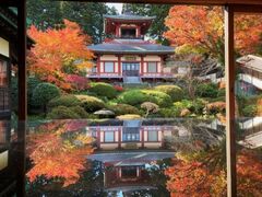 �嗴���y�����뉀�̍g�t�̎ʐ^1