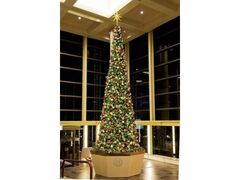 �V�F���g���E�O�����f�E�g�[�L���[�x�C�E�z�e���@�N���X�}�X�E�f�R���[�V�����̎ʐ^1