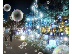 MIDTOWN CHRISTMAS 2024�̎ʐ^1