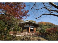 �w���R�@�ĎR���@��{����t�@����J���A���󔪊p�~�����ʔq�ς̎ʐ^1