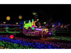 ̃y[WFg TWINKLE JOYO 2025̎ʐ^1