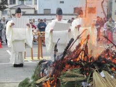 �ÎD�Ĕ[���i�Ƃ�ǁj�̎ʐ^1