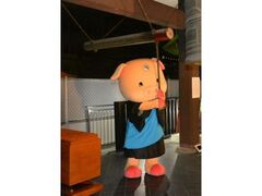 ^@Jhgʉ@i䓰j@̏̎ʐ^1