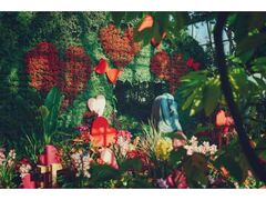 �_�˕z���n�[�u���^���[�v�E�F�C�@Winter Garden Fair 2026�|�ق�����y���ޓ~�̎U�����|�̎ʐ^1