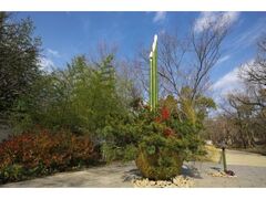 PH鐼䉮~Ւ뉀DÉ@NNn̍Â̎ʐ^1