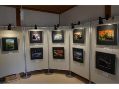 �D�É��t�H�g�R���e�X�g���܍�i�W�̎ʐ^1