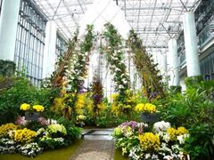 ���ʓW�@���킶�I�[�L�b�h�t�F�X�e�B�o���̎ʐ^1