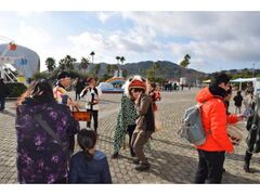 WH[hp[NONOKORO@NnCxg̎ʐ^1