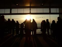 ΊC勴珉̏o悤̎ʐ^1