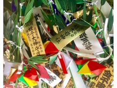 �z�؊�_�Ё@�\�����т��̎ʐ^1