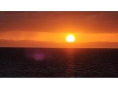 VՊہ@̏oN[Yʉ^q̎ʐ^1