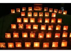 ނ瓔΂̌i@C~l[V̎ʐ^1